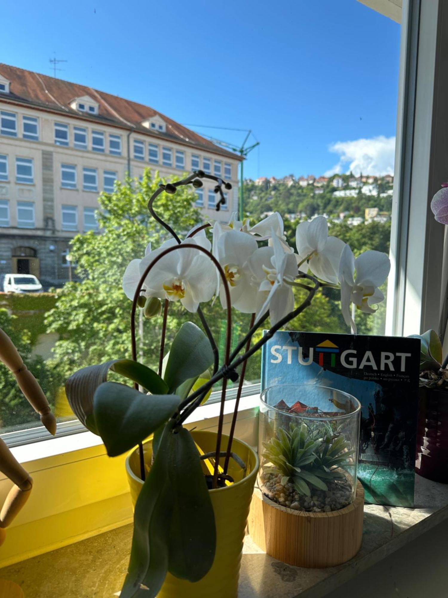 Renovated Flat - Prime Location Near Marienplatz Apartman Stuttgart Kültér fotó